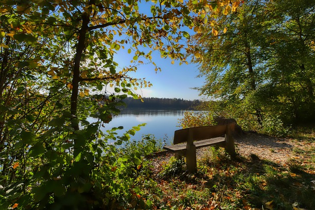 一项调查数 一项调查数