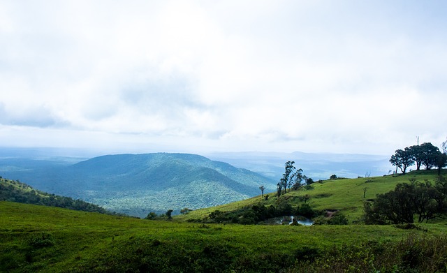 化成为促进 化成为促进