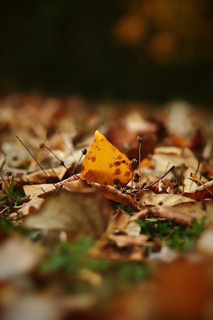 非凡的运动 非凡的运动