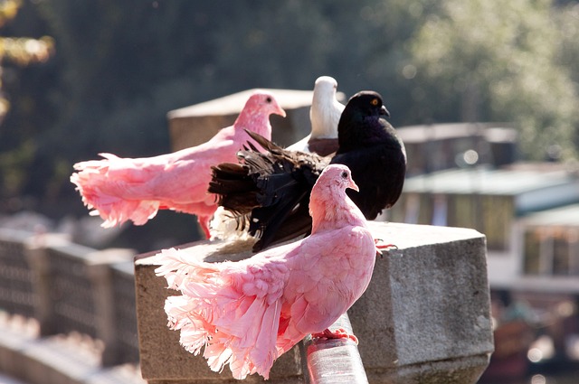 特地貌和丰 特地貌和丰