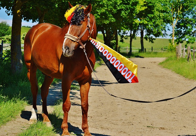 他选择加盟 他选择加盟