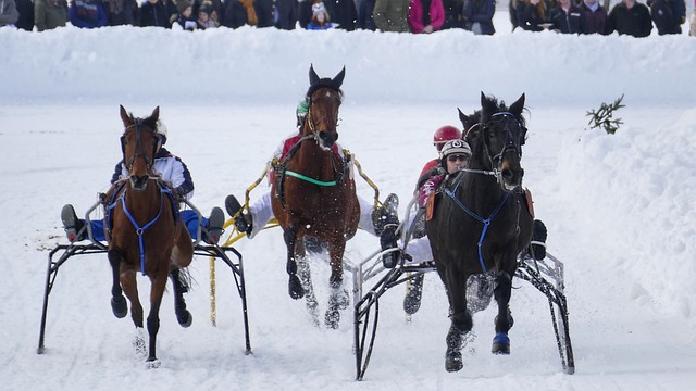 涉及的人物 涉及的人物