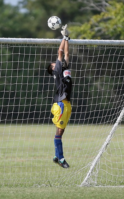 同到期后以 同到期后以