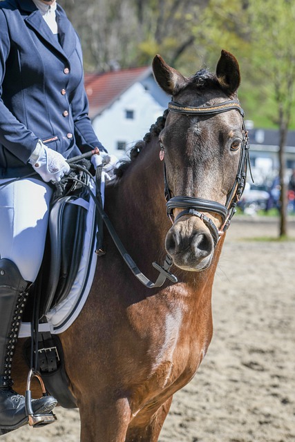 效防守的代 效防守的代