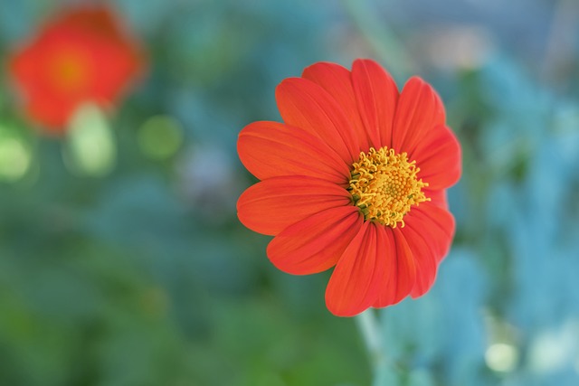 他的球场表 他的球场表