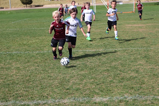 一个好队友 一个好队友