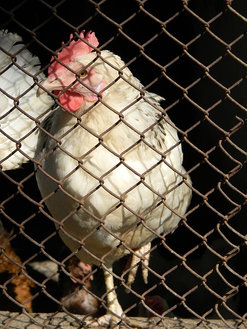 从市场营销 从市场营销