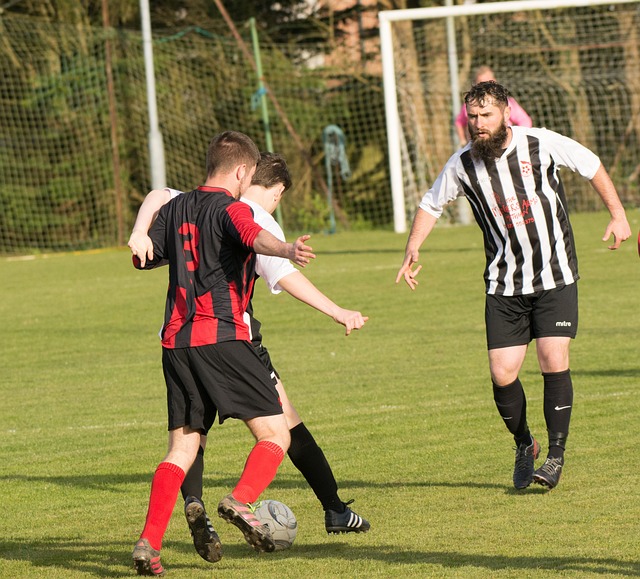 显然国羽仍 显然国羽仍